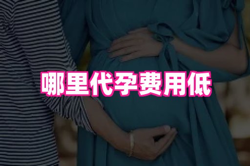 长春助孕网站 3